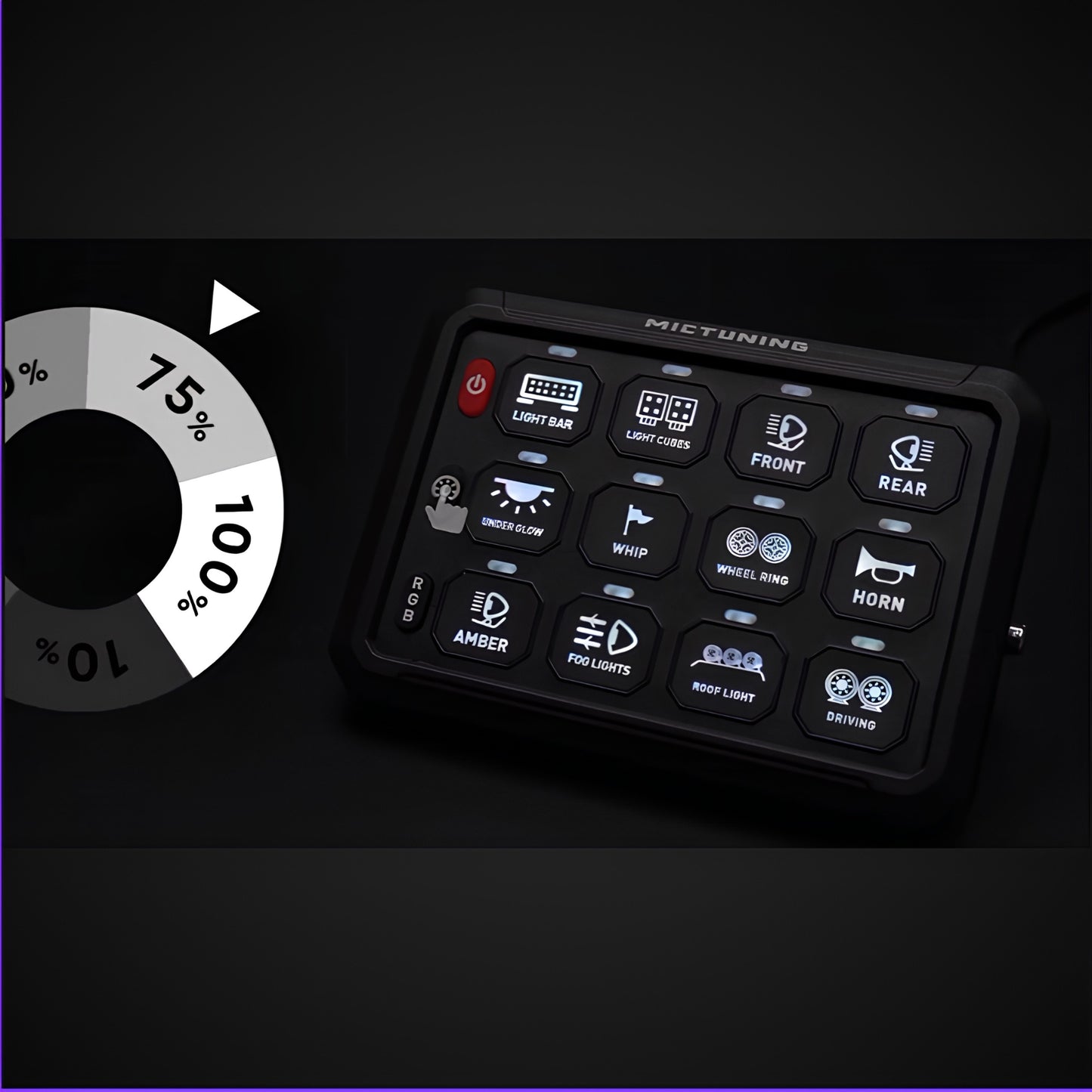 MICTUNING P1B RGB Switch Panel (12 Switch)